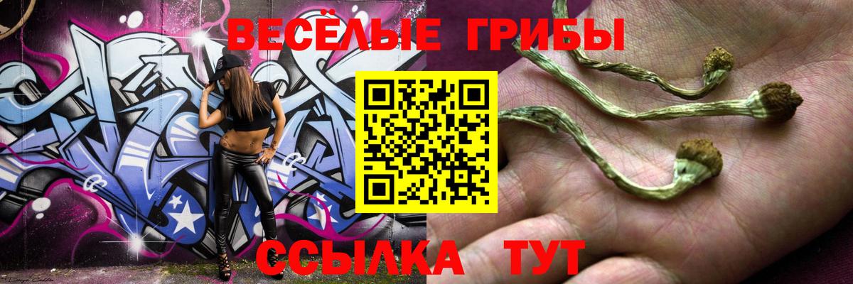 Псилоцибиновые грибы мухоморы Вышний Волочёк