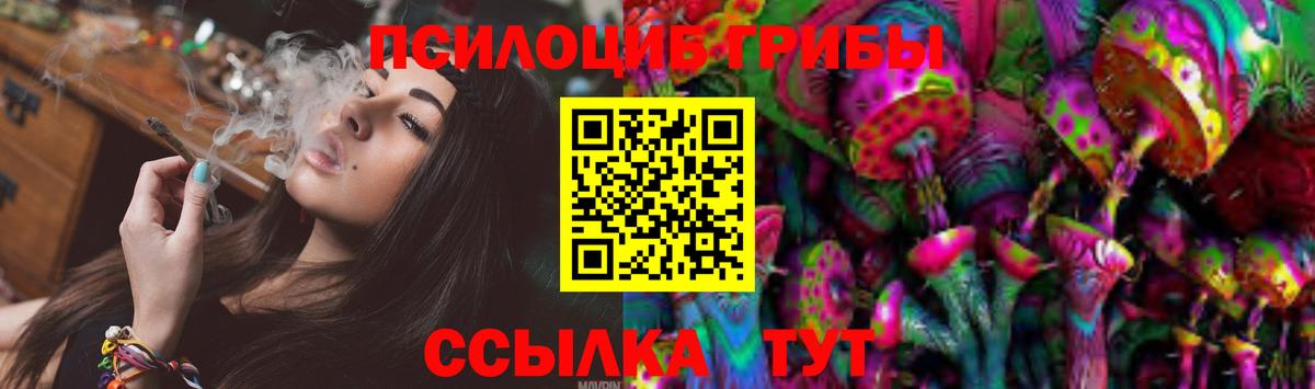 Вышний Волочёк  Галлюциногенные грибы MAGIC MUSHROOMS  дарнет шоп  Вход с VPN 